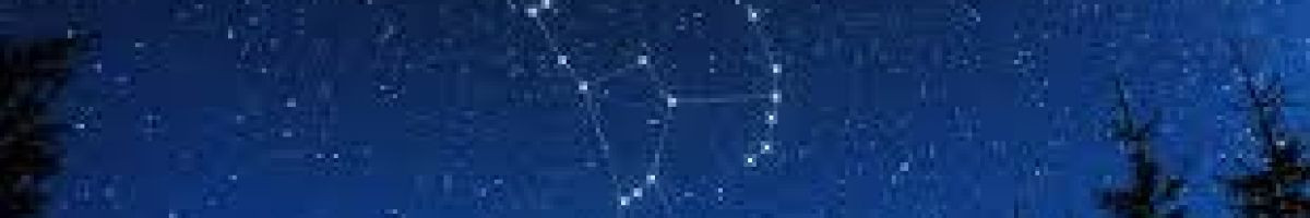 BluOrion11