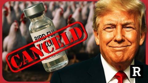 Bird Flu Panic EXPOSED: Are They Planning Another Gain-of-Function Covid Disaster? | Redacted