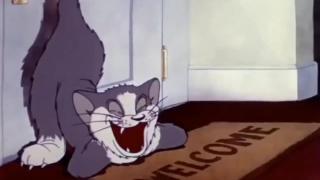 tom and jerry part 2