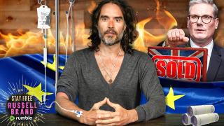 Stay Free IV - SF588