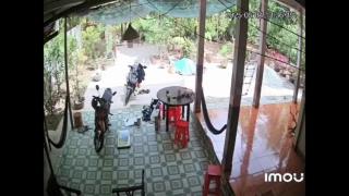 the Darwin awards - BS