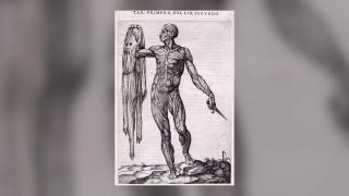 Radical Feminist Fun - Skinning them Alive