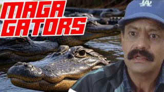 TikToker Alleges Alligators Placed in Rio Grande to Keep Out Illegal Migrants