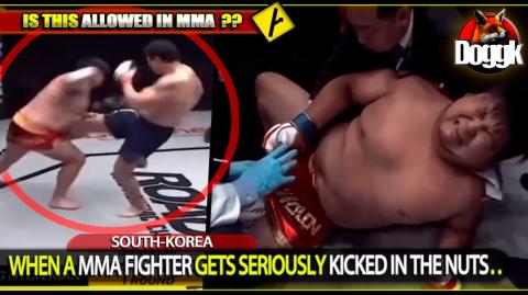 WHEN A MMA FIGHTER GETS SERIOUSLY KICKED IN THE NUTS.. (SOUTH-KOREA) >> MUST SEE !!