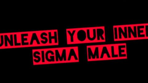 Alpha vs. SIGMA: What's the Difference?