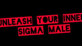 Alpha vs. SIGMA: What's the Difference?