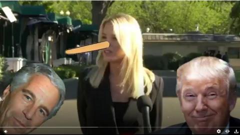 YOUR 'GOVERNMENT' IS HOARDING CHILD PORN STARRING TRUMP and EPSTEIN and ALL YOUR FAVORITE SCUMBAGS