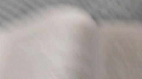 Beta conspiracionista moggando a maçonaria 0.1