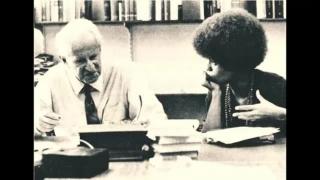 Armadilhas conceituais: A Nova Esquerda e o remodelamento da linguagem (Eguinaldo Hélio Souza)