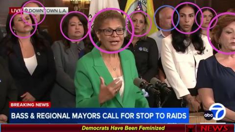 Democrats Have Been Feminized