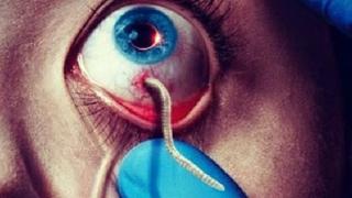 VRILL LIZARDS & THE BLACK-EYE CLUB