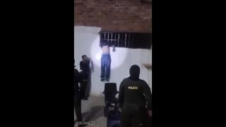 the Darwin awards - BLS