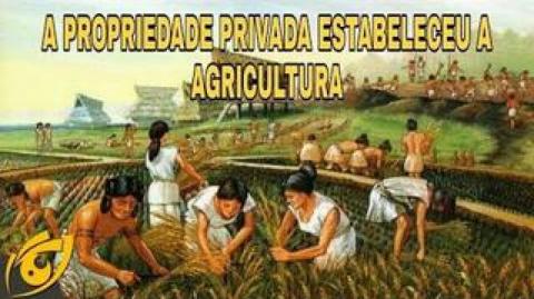 Propriedade privada, não produtividade, teria estabelecido a agropecuária | VL - 31/08/20 | ANCAPSU