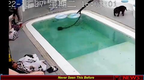 Never Seen This Before