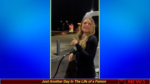 Just Another Day In The Life of a Femon