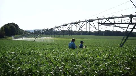 Everything About Irrigation Pivots (Farmers are Geniuses) - Smarter Every Day 278