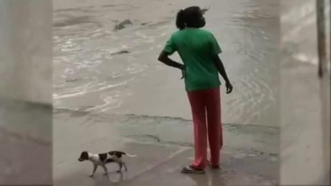 How not to be crocodile safe