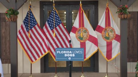 Governor DeSantis Signs Legislation to Protect Dogs from Abuse