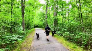 The Rise of The Modern Bachelor- Health, Wealth, And Happiness