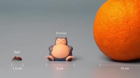 The Process of Making Friends With a Tiny Spider