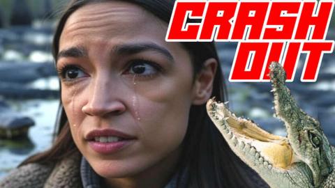 Lefties Threaten to Fight People Wearing Alligator Alcatraz Shirts