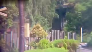 the Darwin awards - EN