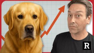 Why are cancer rates SKYROCKETING in children and pets? This is an EMERGENCY