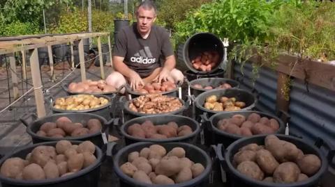 Gardening Experts Said This Wouldn’t Work — Now I Have 450 lbs of Potatoes