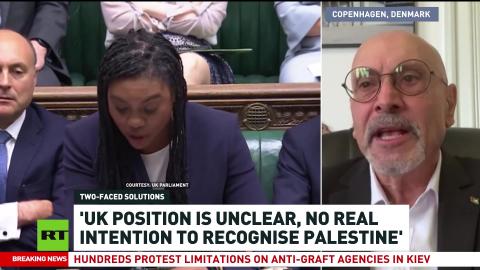 Hassassian criticizes UK pledge to recognize Palestine as insincere: 'Playing with words'