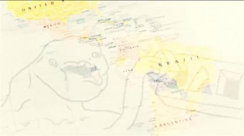 Relinchos da Pátria Grande: pseudonacionalismo e escória vermelha ferraram os países do sul