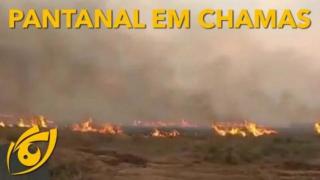 Incêndios no pantanal no inverno. Quem imaginaria! | Visão Libertária - 21/09/20 | ANCAPSU