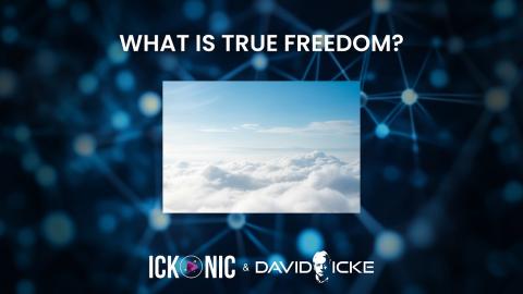 What is TRUE freedom? | David Icke