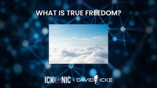 What is TRUE freedom? | David Icke