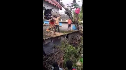 the Darwin awards - F