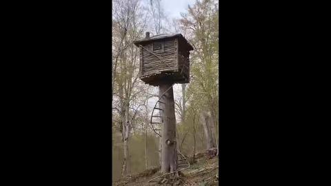 How I created natural shelters in cool environment