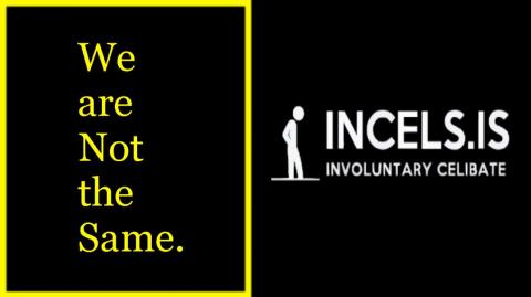 MGTOW: We are not responsible for the actions of Incels.
