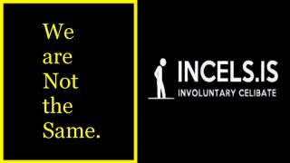 MGTOW: We are not responsible for the actions of Incels.