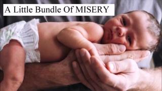 The Declining Birth Rate Is 100% Women's Fault.