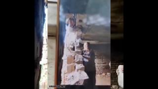 the Darwin awards - M