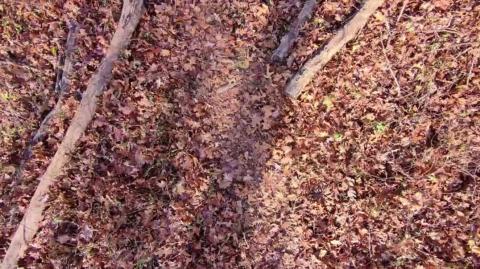 15 Things Women Secretly Envy About Men