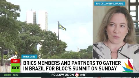 'BRICS provides a platform for dialogue on an equal basis' — Victoria Panova