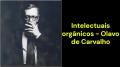 Intelectuais orgânicos (Olavo de Carvalho)