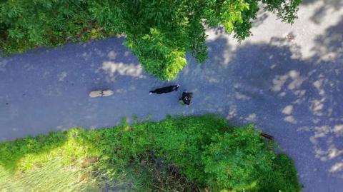 She Got The House- He Got His Life Back (A Redemption Story)