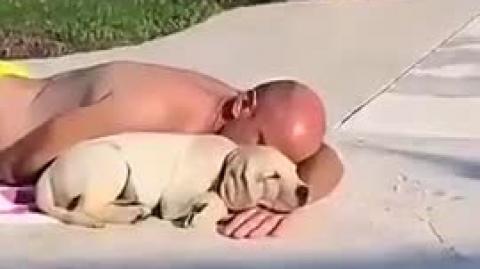 Dads and the dogs they said they never wanted