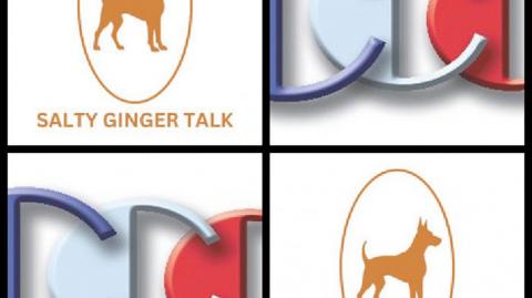 Salty Ginger Talk Podcast. How Richard Blank Built a 7-Figure Business in Costa Rica