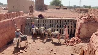 Large Scale Production of Clay Bricks and Pottery