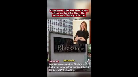 CEO OF BLACKSTONE - WESLEY LⅇPATNER  SHOT [MAINSTREAM MEDIA WHITEWASHES EVENT]