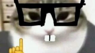 falando aos ventos de novo Siga a cartilha ou morra