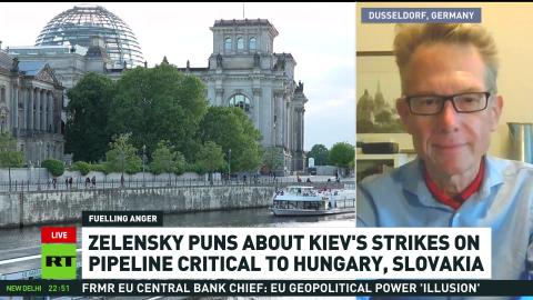 'Europe is in terminal decline' — ex-MEP Gunnar Beck