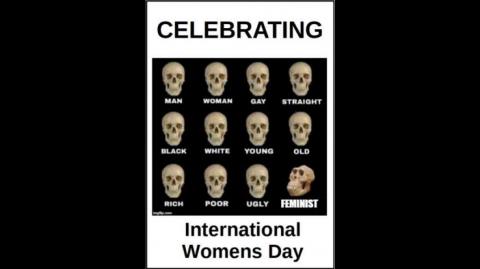 Celebrating International Womens Day